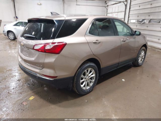 Vehicle/68175_04.jpg