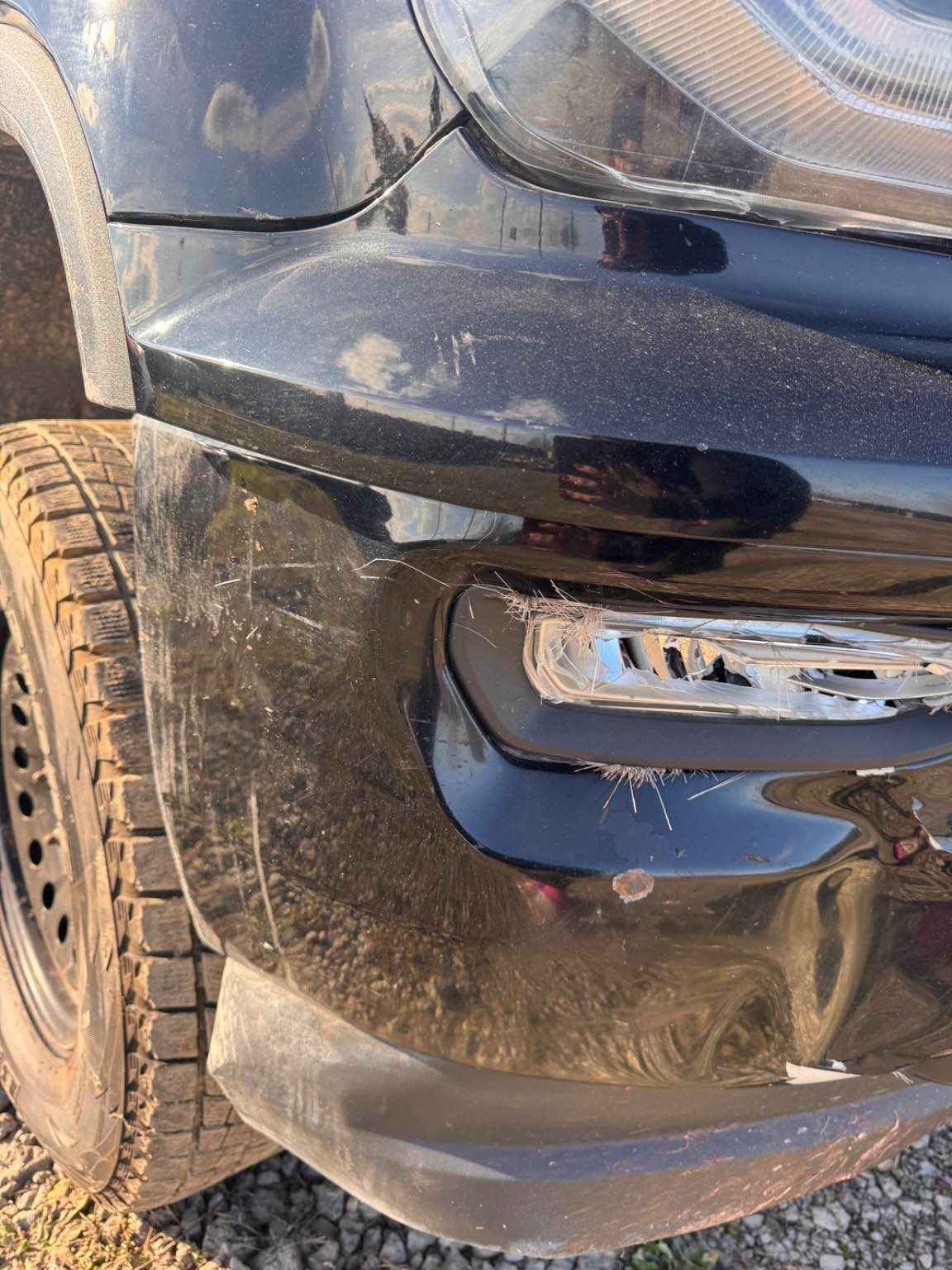 Vehicle/217559_08.jpg