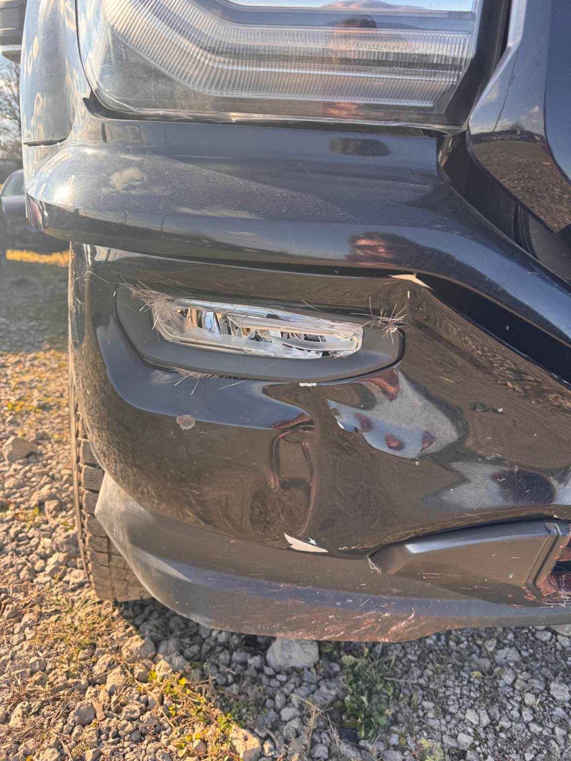 Vehicle/217559_09.jpg