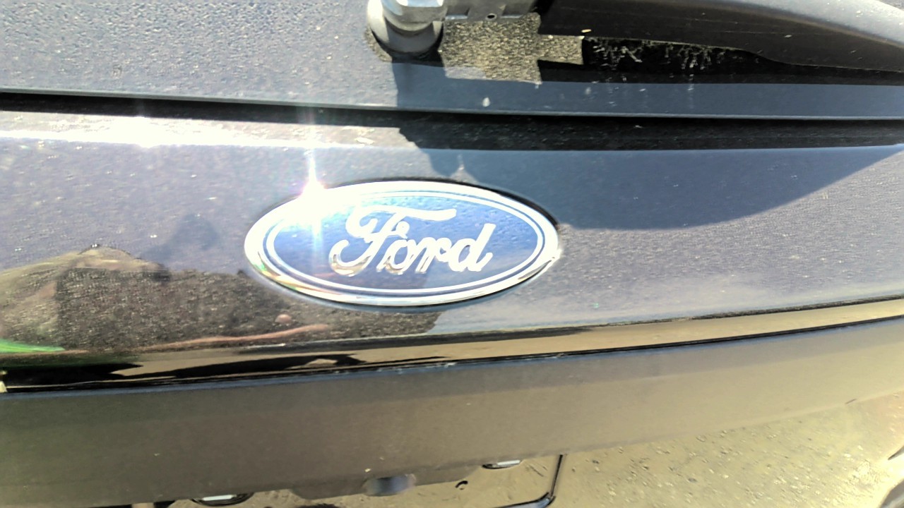 Vehicle/219784_11.jpg