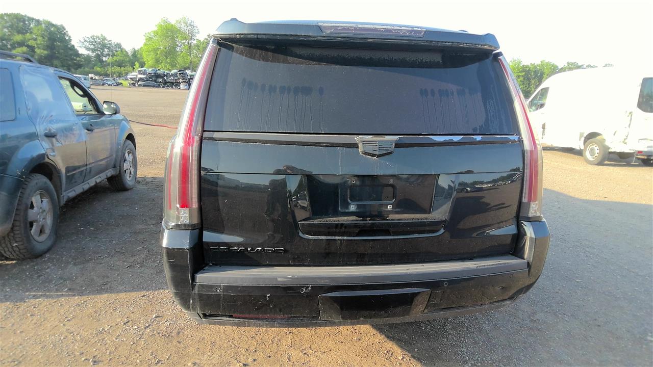 Vehicle/219907_04.jpg