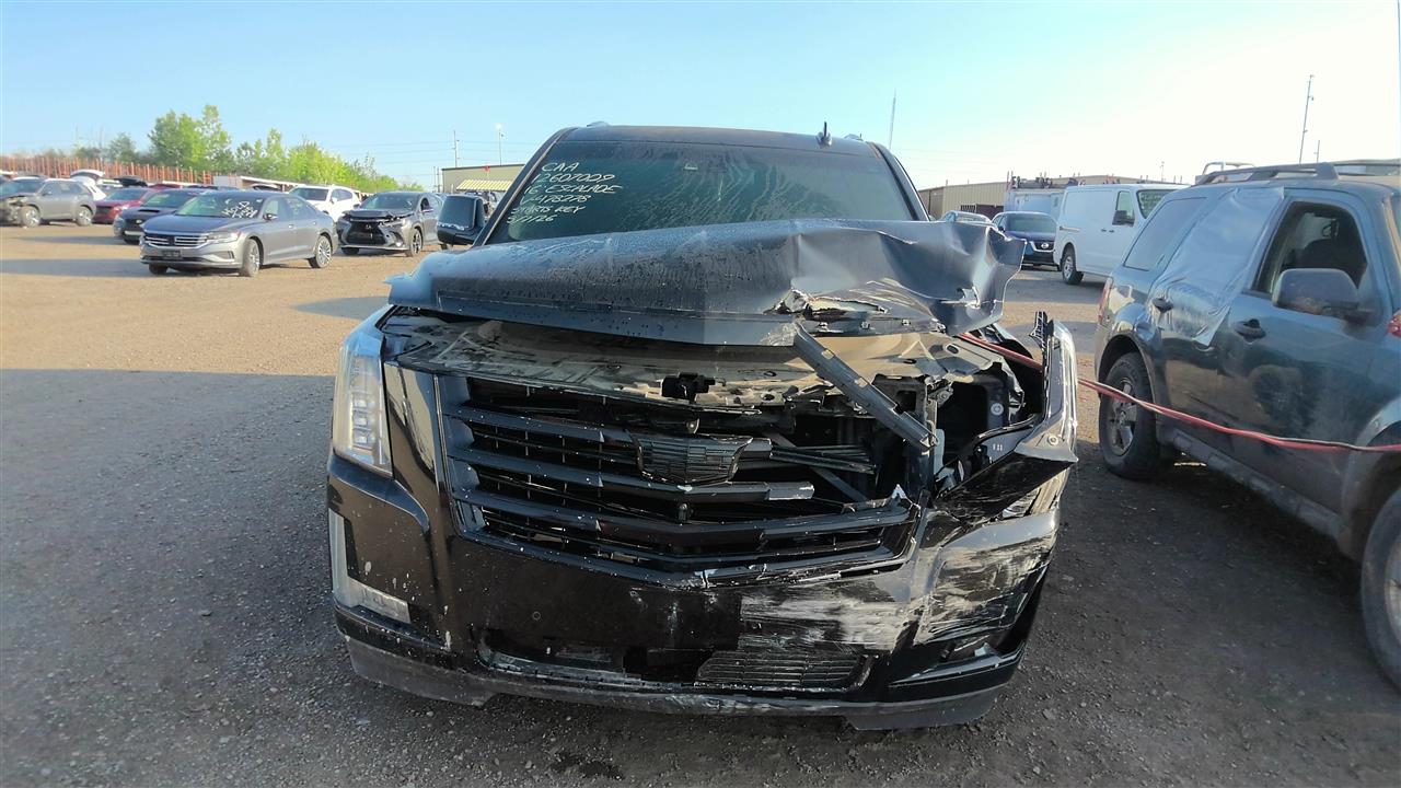 Vehicle/219907_08.jpg