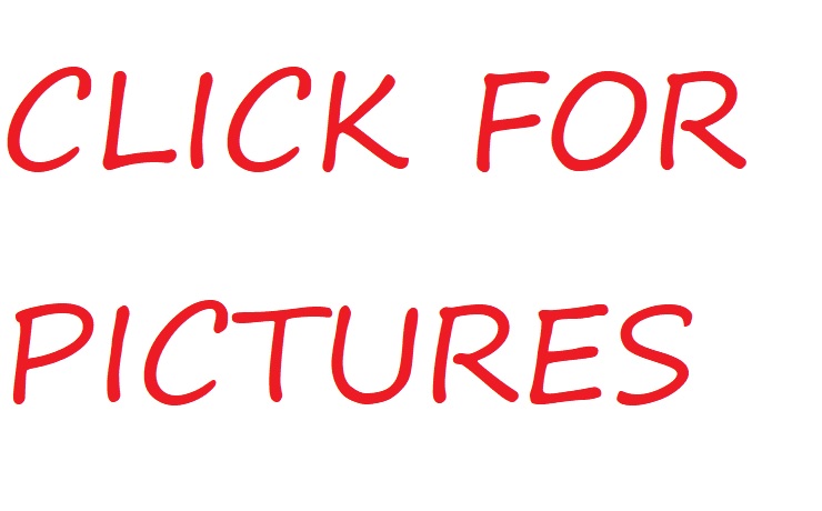 https://f005.backblazeb2.com/file/img-partshotlines-com/Inventory/EX232/Vehicle/5275_01.jpg