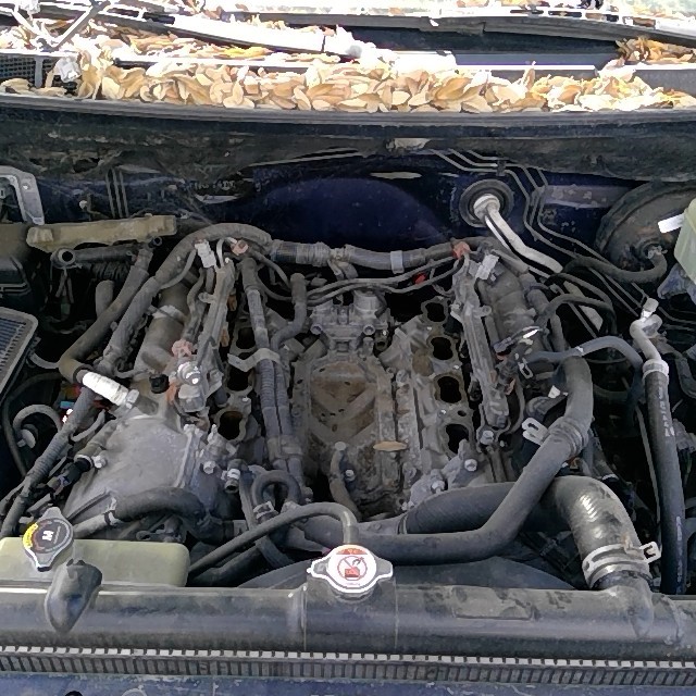 https://f005.backblazeb2.com/file/img-partshotlines-com/Inventory/EX248/Vehicle/3393_10.jpg