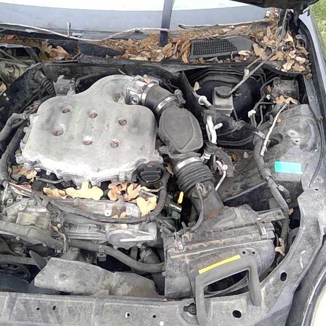 https://f005.backblazeb2.com/file/img-partshotlines-com/Inventory/EX248/Vehicle/3439_10.jpg