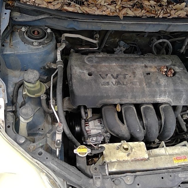 https://f005.backblazeb2.com/file/img-partshotlines-com/Inventory/EX248/Vehicle/3467_08.jpg
