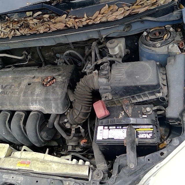 https://f005.backblazeb2.com/file/img-partshotlines-com/Inventory/EX248/Vehicle/3467_09.jpg