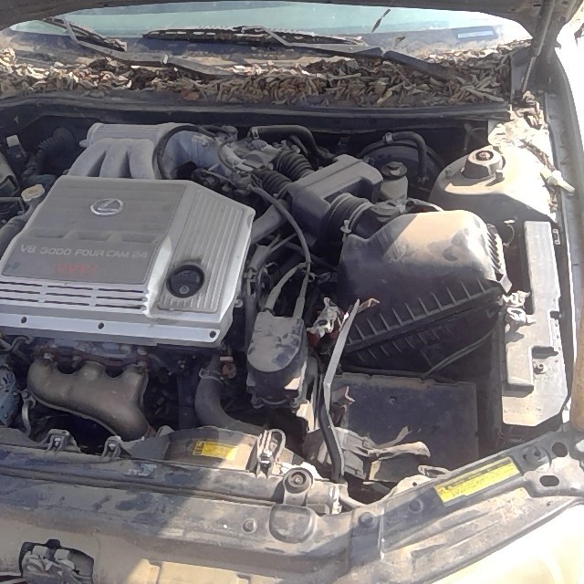 https://f005.backblazeb2.com/file/img-partshotlines-com/Inventory/EX248/Vehicle/3495_10.jpg
