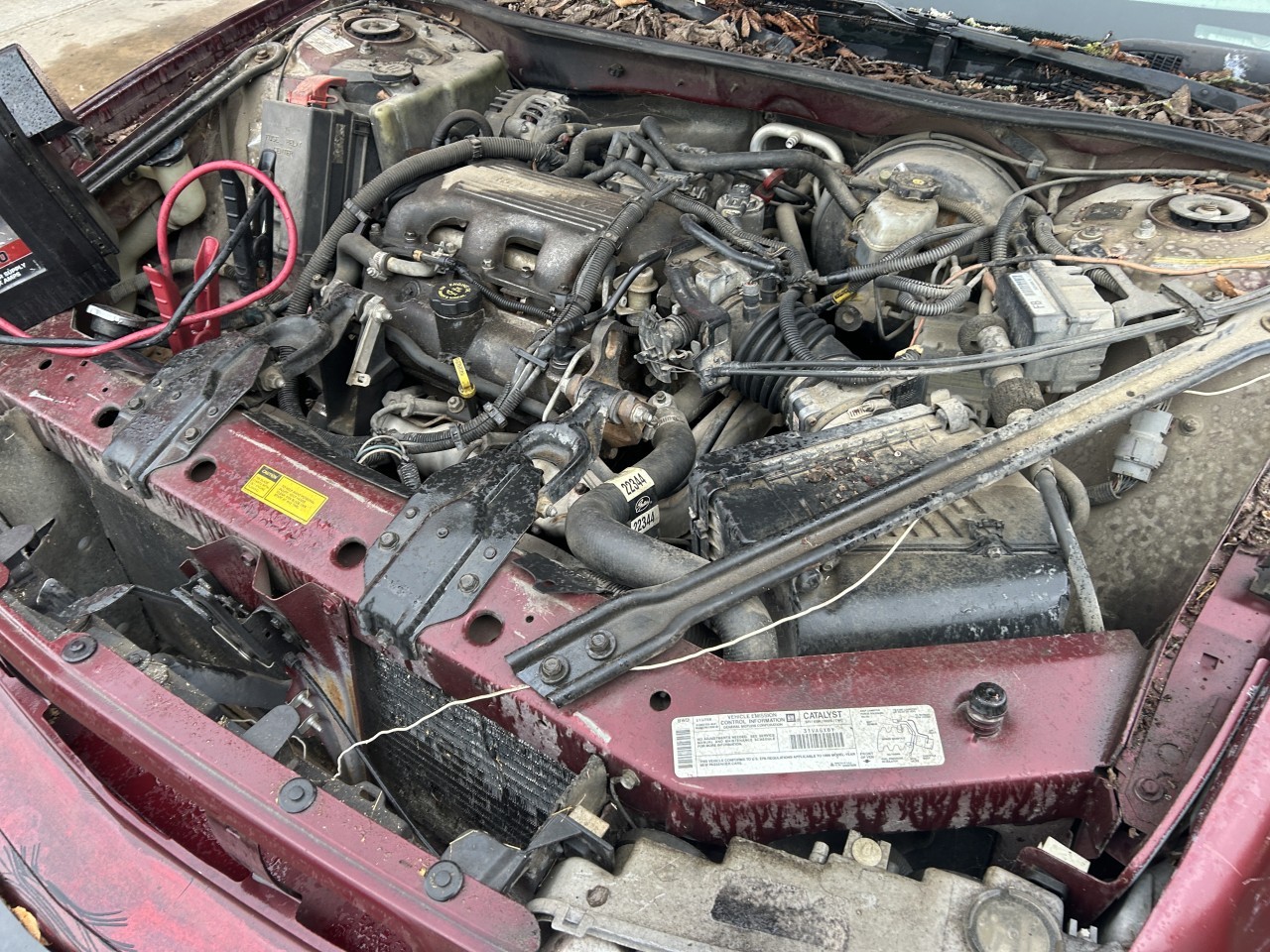 https://f005.backblazeb2.com/file/img-partshotlines-com/Inventory/EX304/Vehicle/29099_03.jpg