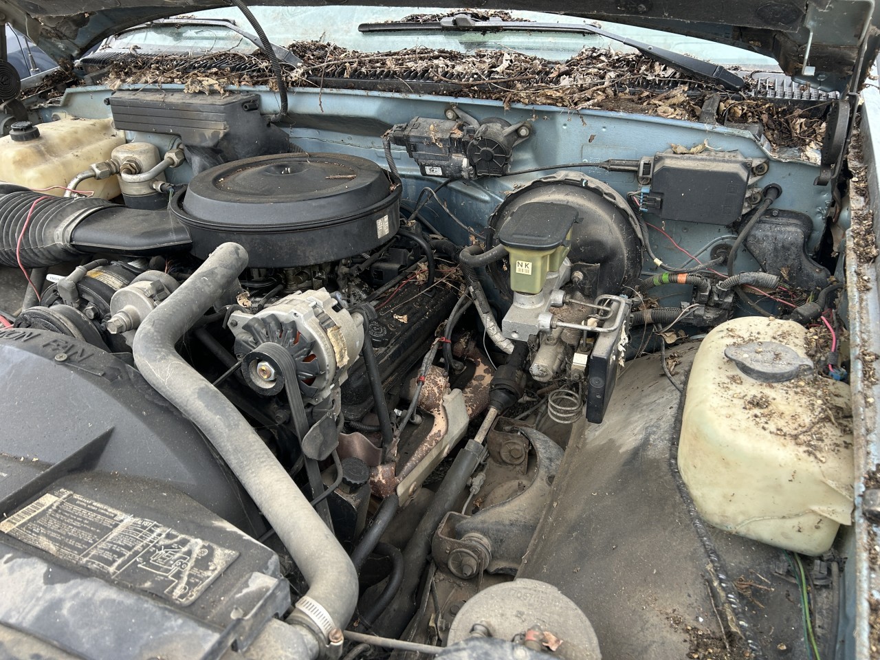 https://f005.backblazeb2.com/file/img-partshotlines-com/Inventory/EX304/Vehicle/30162_03.jpg