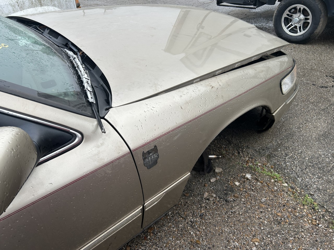 https://f005.backblazeb2.com/file/img-partshotlines-com/Inventory/EX304/Vehicle/30647_02.jpg