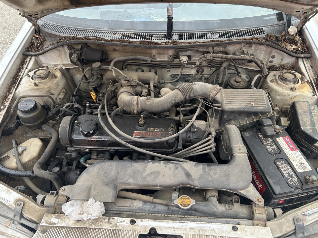 https://f005.backblazeb2.com/file/img-partshotlines-com/Inventory/EX304/Vehicle/31404_10.jpg
