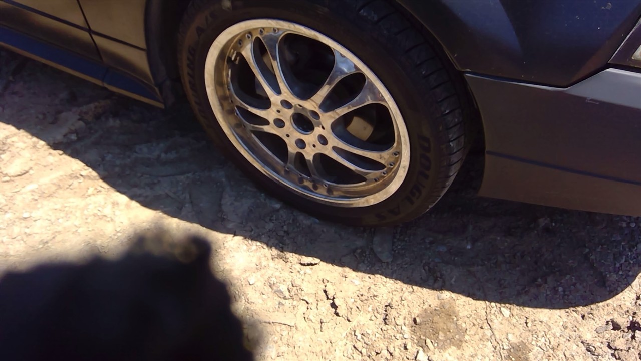 https://f005.backblazeb2.com/file/img-partshotlines-com/Inventory/EX366/Vehicle/10720_06.jpg