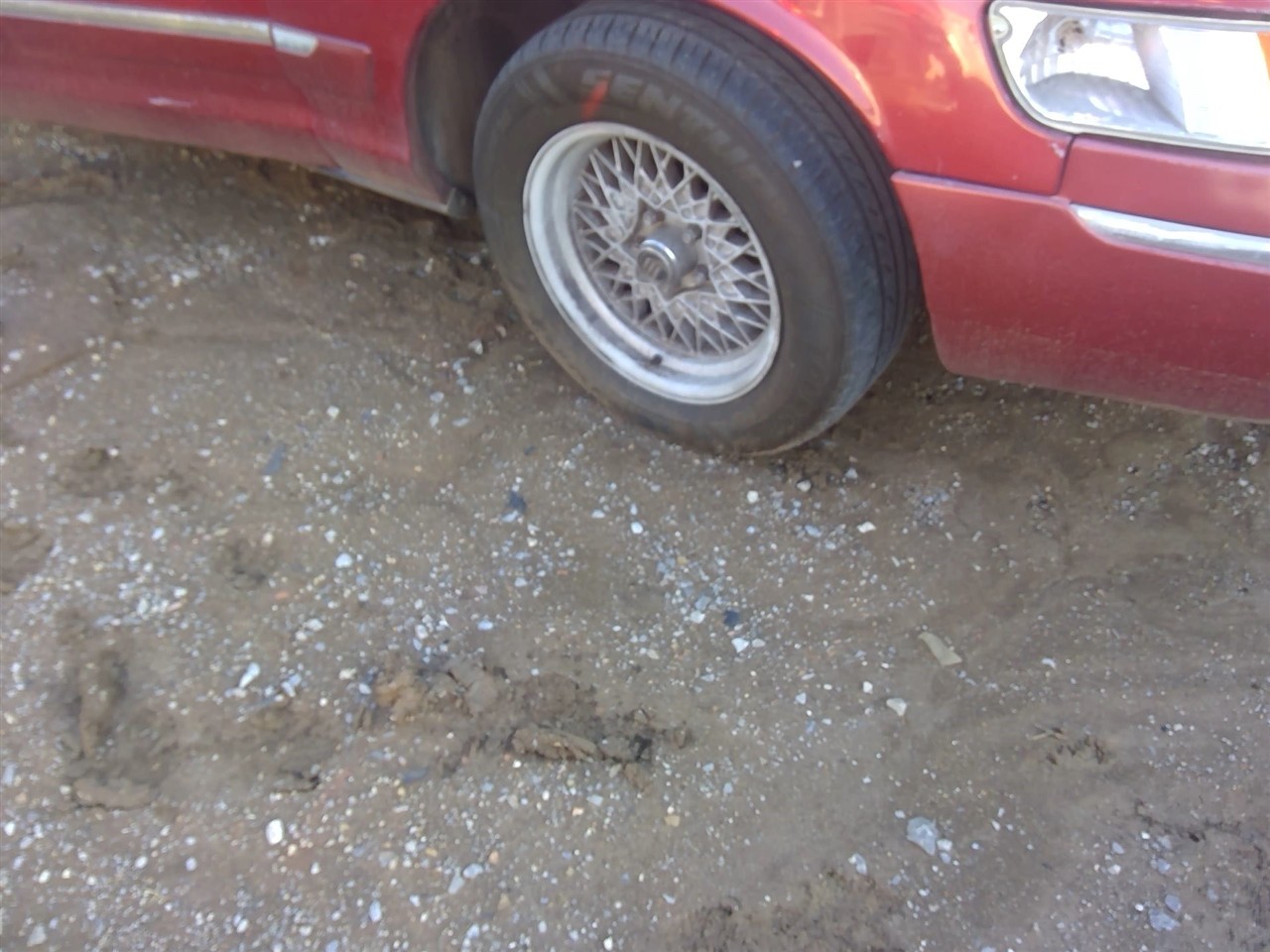 https://f005.backblazeb2.com/file/img-partshotlines-com/Inventory/EX366/Vehicle/11004_07.jpg