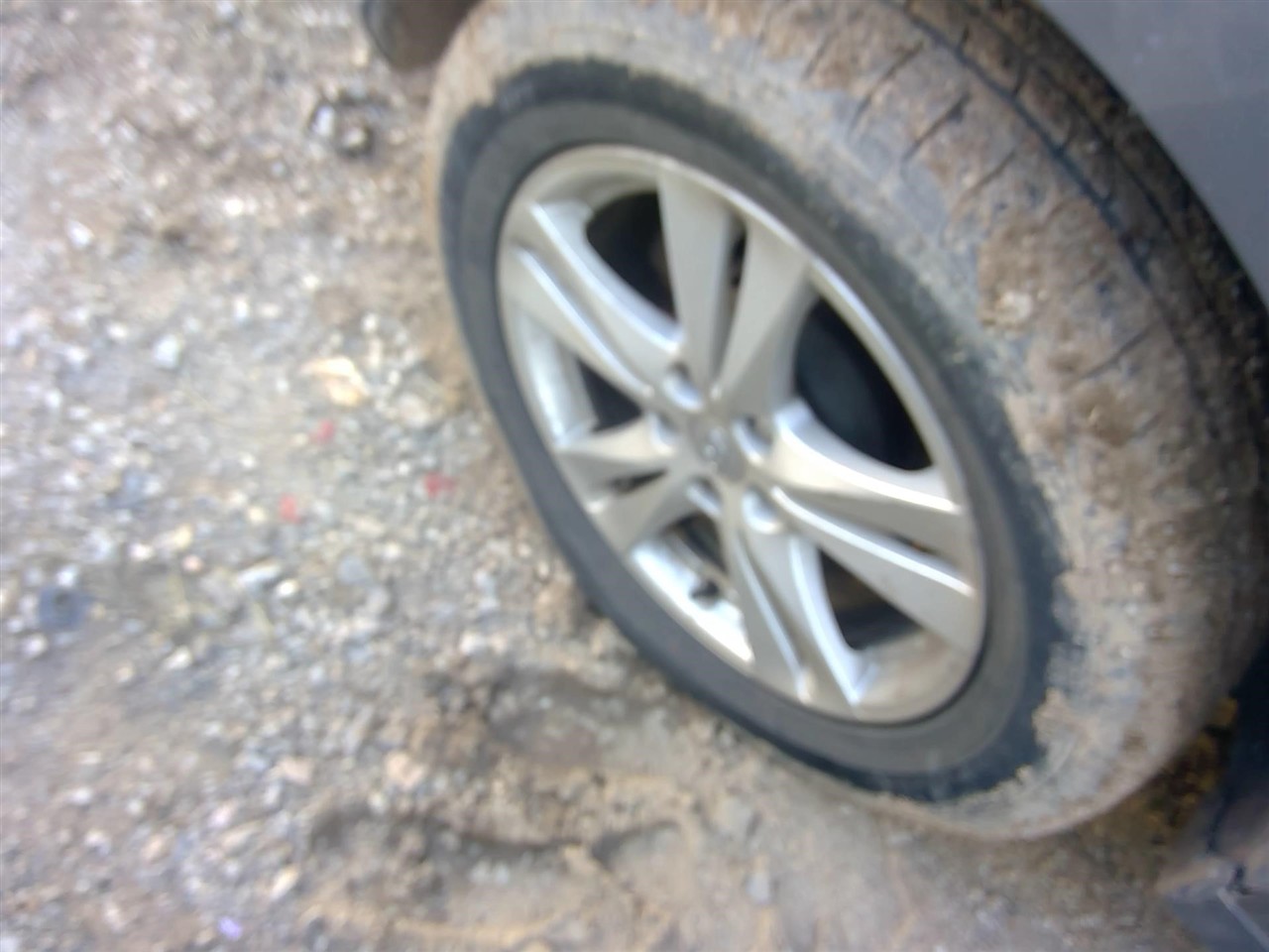 https://f005.backblazeb2.com/file/img-partshotlines-com/Inventory/EX366/Vehicle/11202_06.jpg