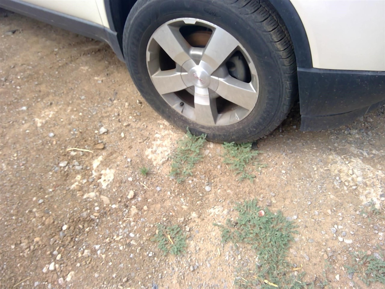 https://f005.backblazeb2.com/file/img-partshotlines-com/Inventory/EX366/Vehicle/11226_05.jpg