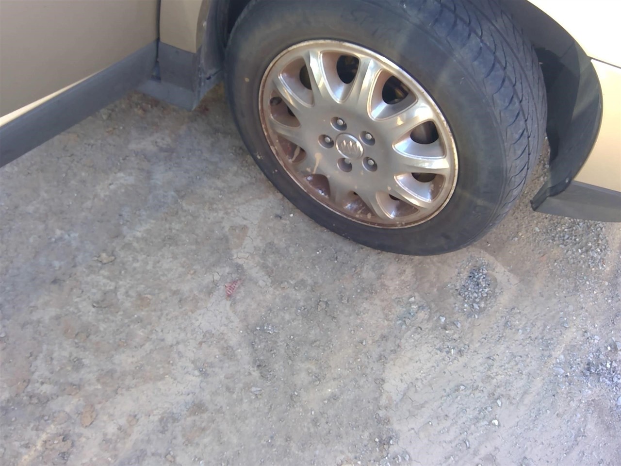 https://f005.backblazeb2.com/file/img-partshotlines-com/Inventory/EX366/Vehicle/11430_06.jpg