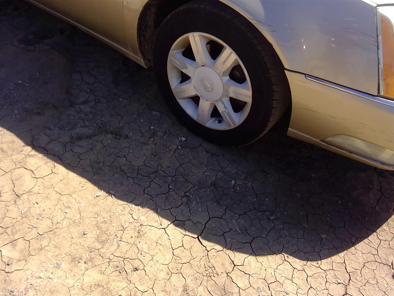 https://f005.backblazeb2.com/file/img-partshotlines-com/Inventory/EX366/Vehicle/11614_05.jpg