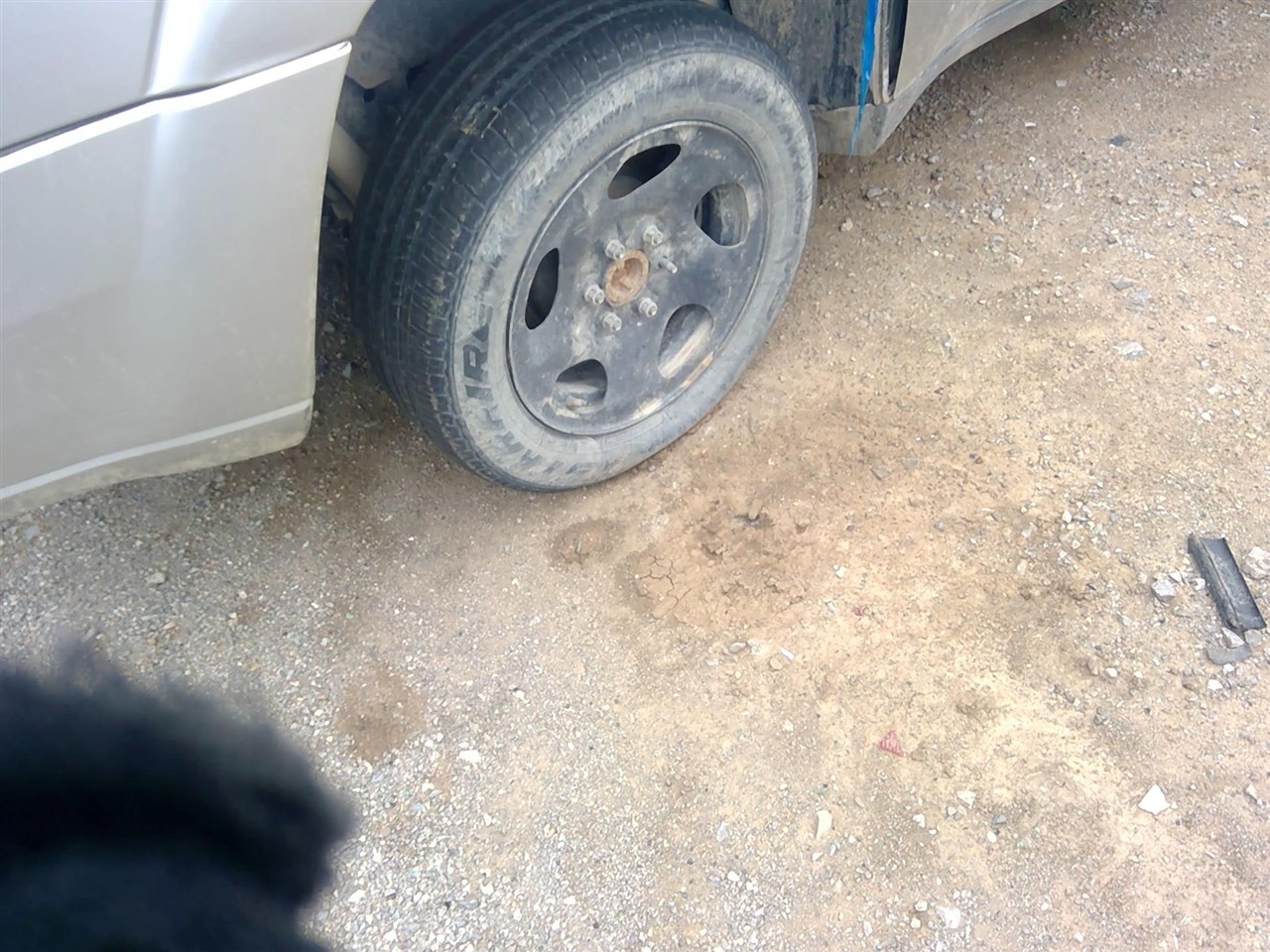 https://f005.backblazeb2.com/file/img-partshotlines-com/Inventory/EX366/Vehicle/11643_06.jpg