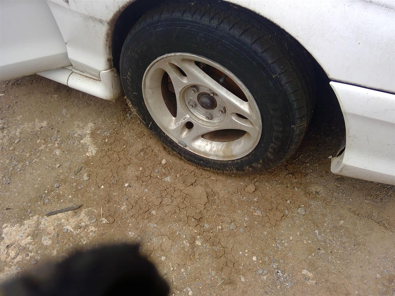 https://f005.backblazeb2.com/file/img-partshotlines-com/Inventory/EX366/Vehicle/11723_05.jpg
