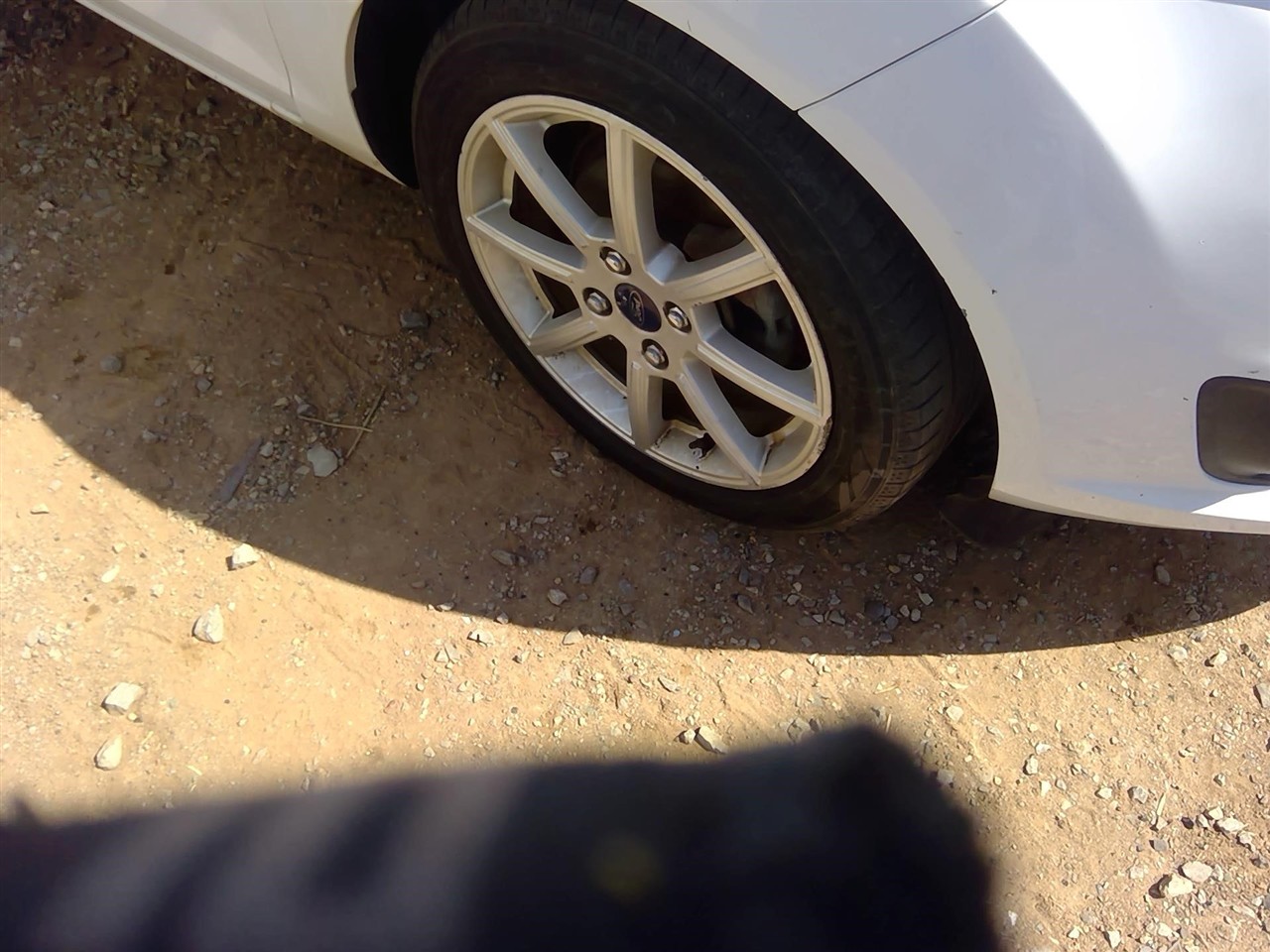 https://f005.backblazeb2.com/file/img-partshotlines-com/Inventory/EX366/Vehicle/11889_06.jpg