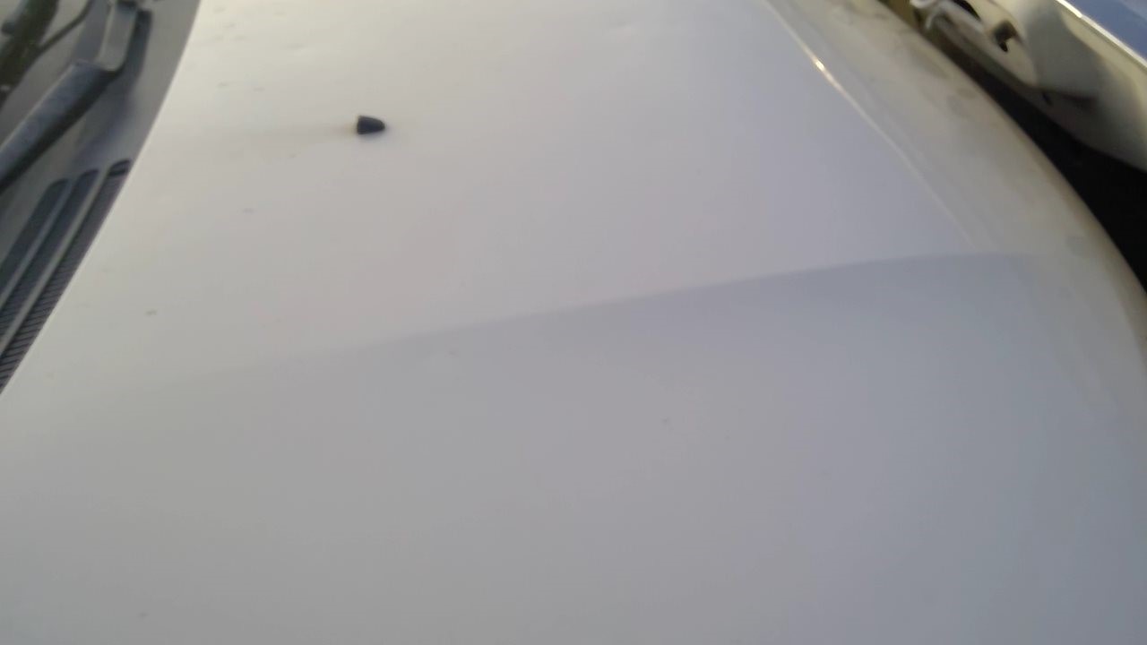 https://f005.backblazeb2.com/file/img-partshotlines-com/Inventory/EX379/Vehicle/32690_04.jpg