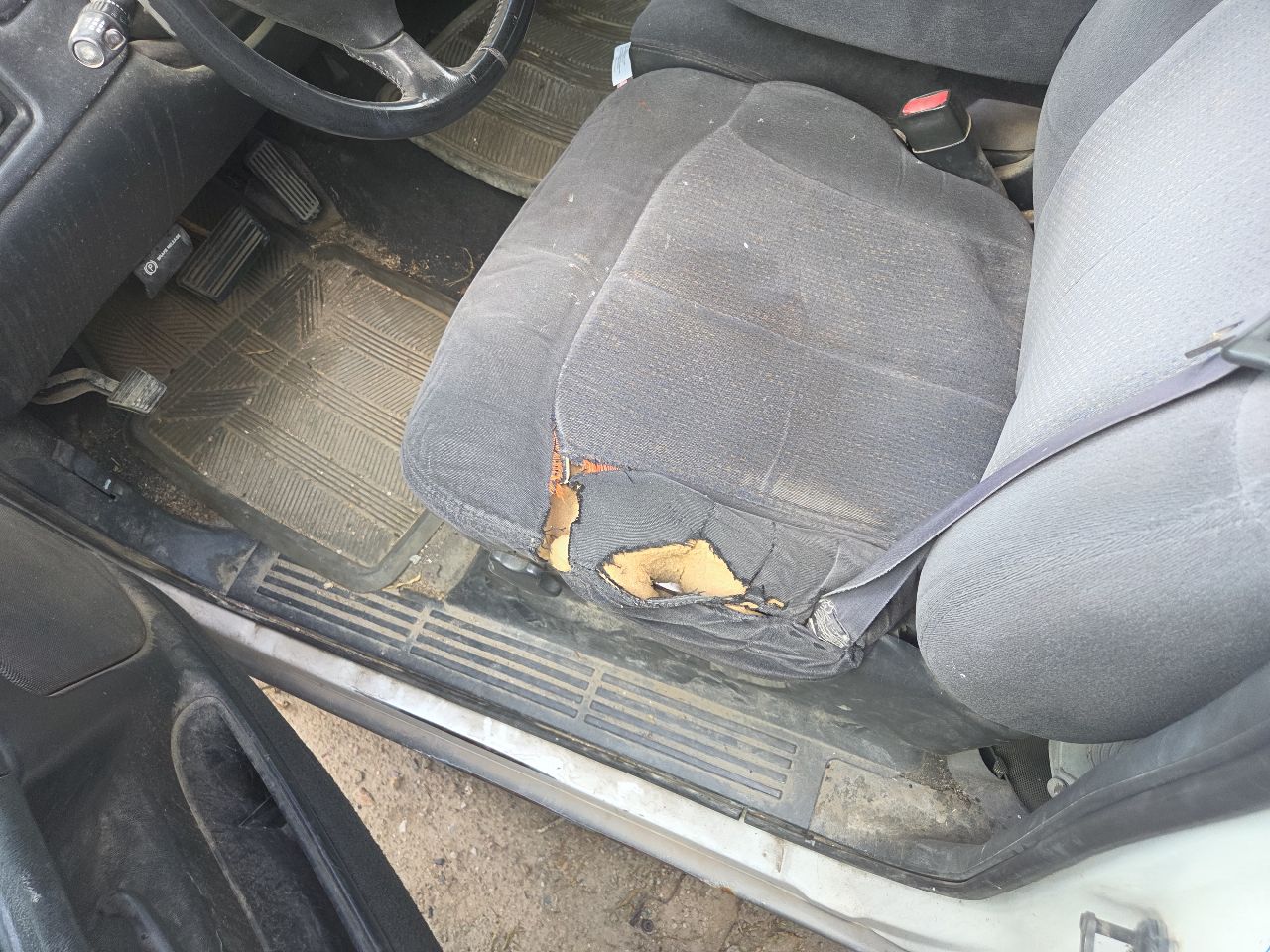 https://f005.backblazeb2.com/file/img-partshotlines-com/Inventory/EX423/Vehicle/15800_11.jpg