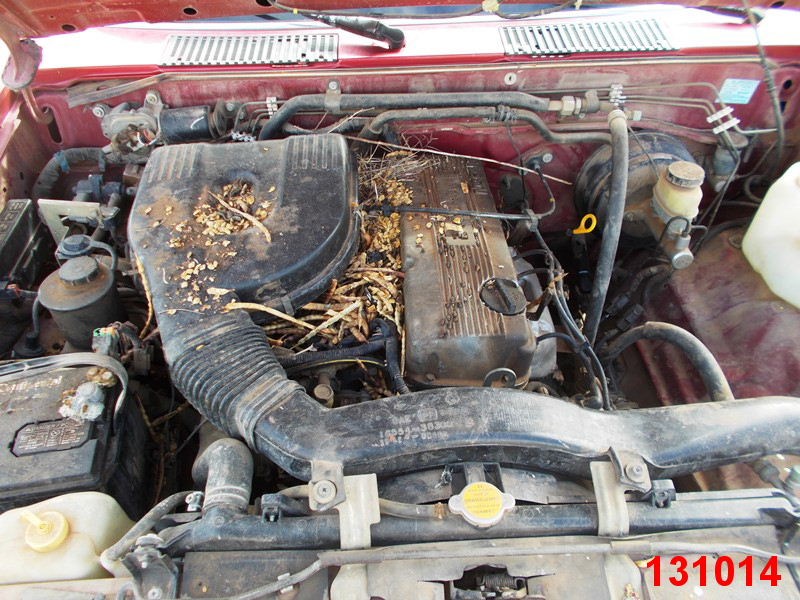 https://f005.backblazeb2.com/file/img-partshotlines-com/Inventory/EX44/Vehicle/11384_07.jpg