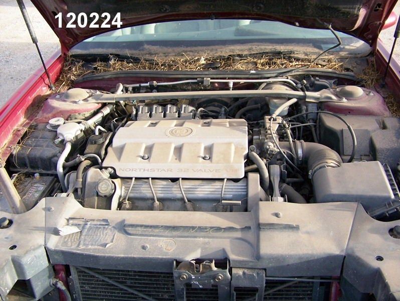 https://f005.backblazeb2.com/file/img-partshotlines-com/Inventory/EX44/Vehicle/9985_02.jpg