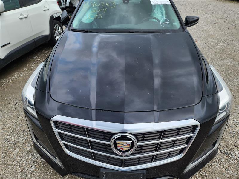 Vehicle/239439_07.jpg