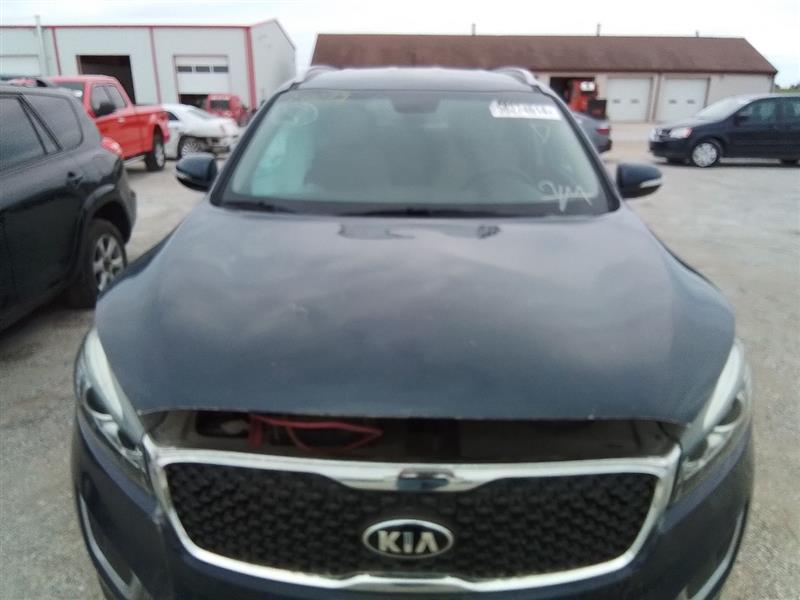 Vehicle/241289_07.jpg