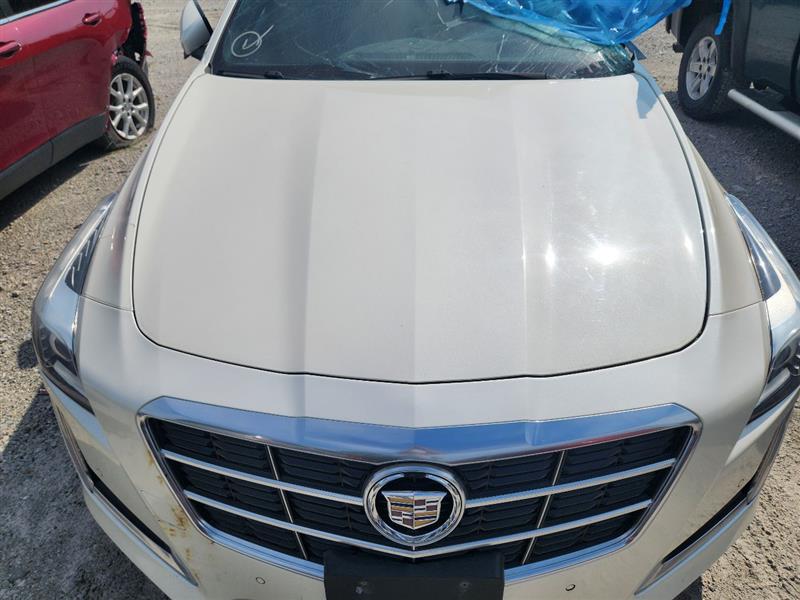 Vehicle/241959_07.jpg