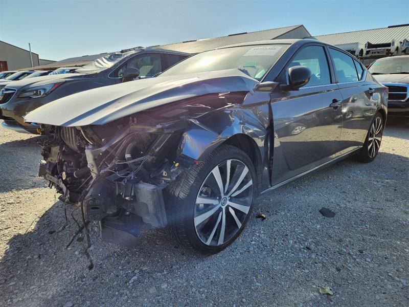 Vehicle/243081_01.jpg