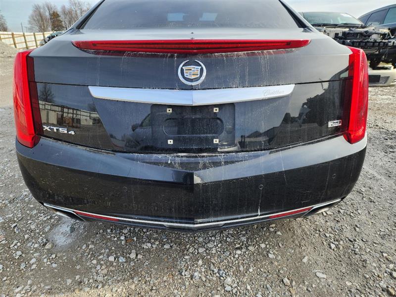 Vehicle/245723_10.jpg