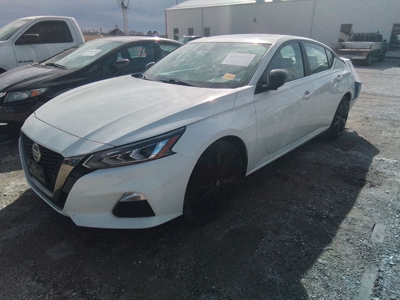Vehicle/246123_01.jpg