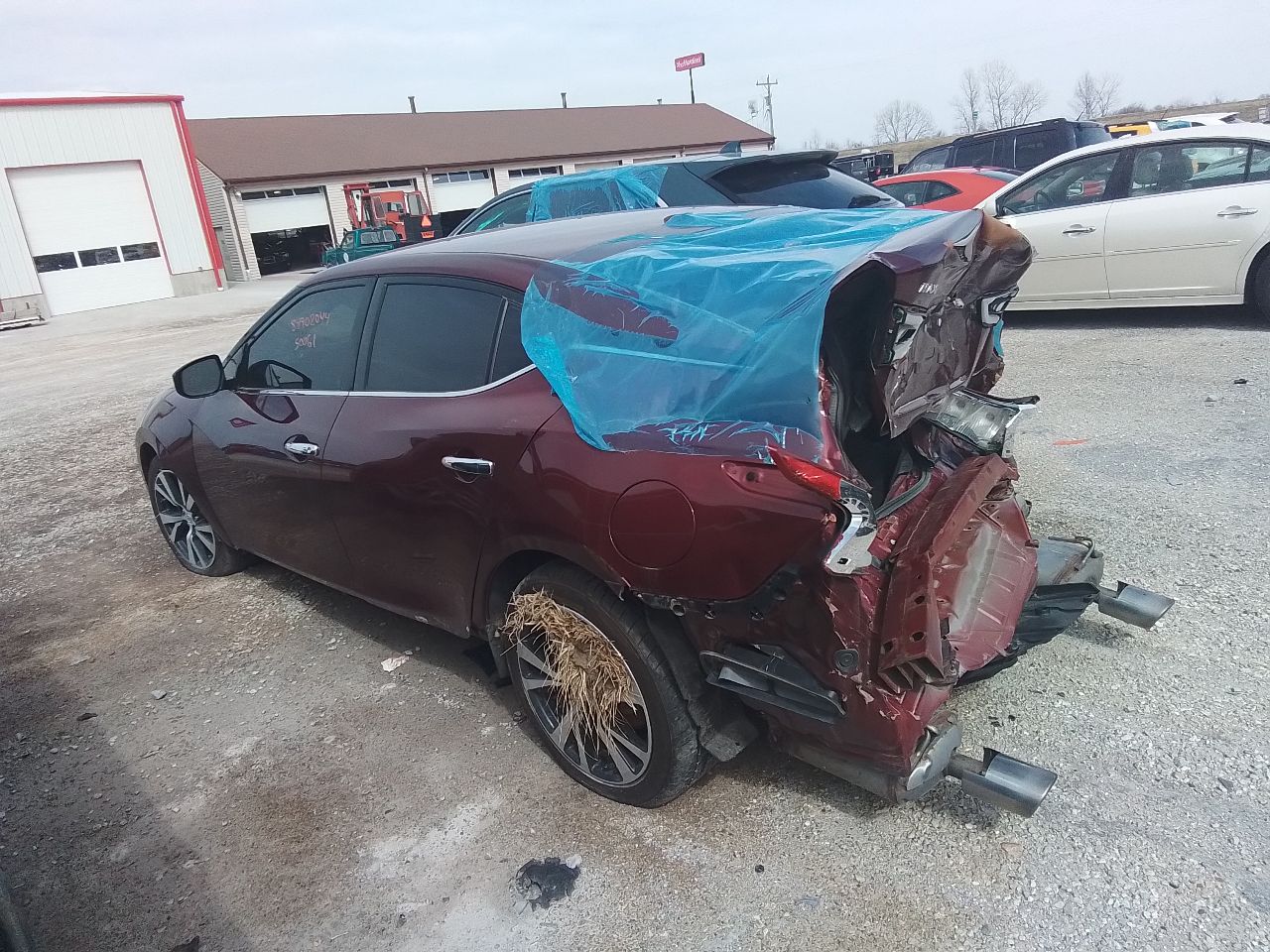 https://f005.backblazeb2.com/file/img-partshotlines-com/Inventory/EX441/Vehicle/246271_02.jpg
