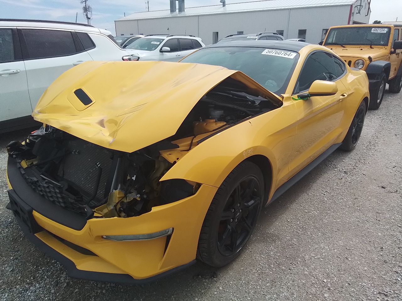 Vehicle/246336_01.jpg