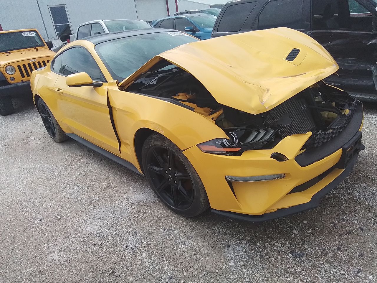 Vehicle/246336_03.jpg