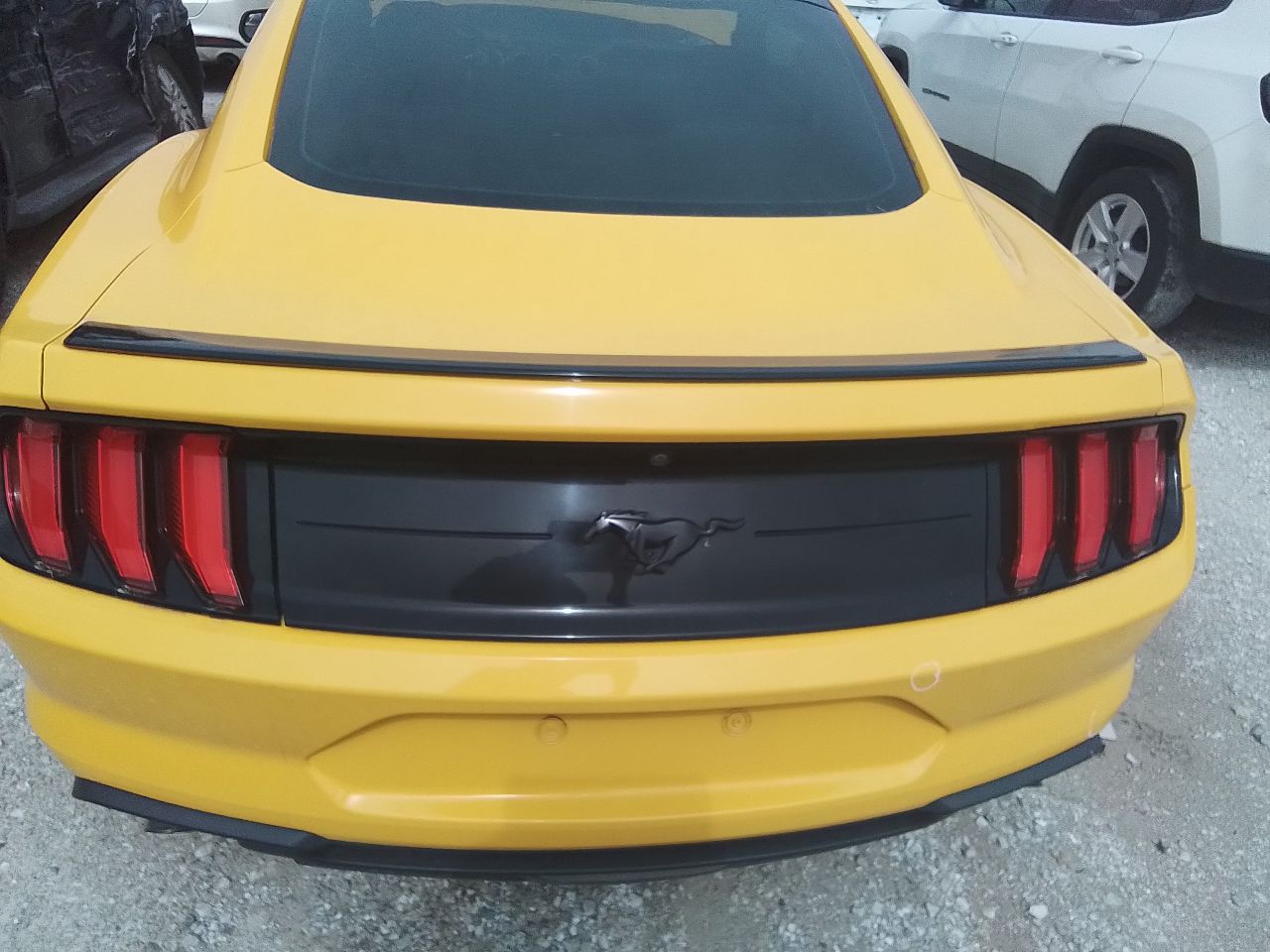Vehicle/246336_07.jpg