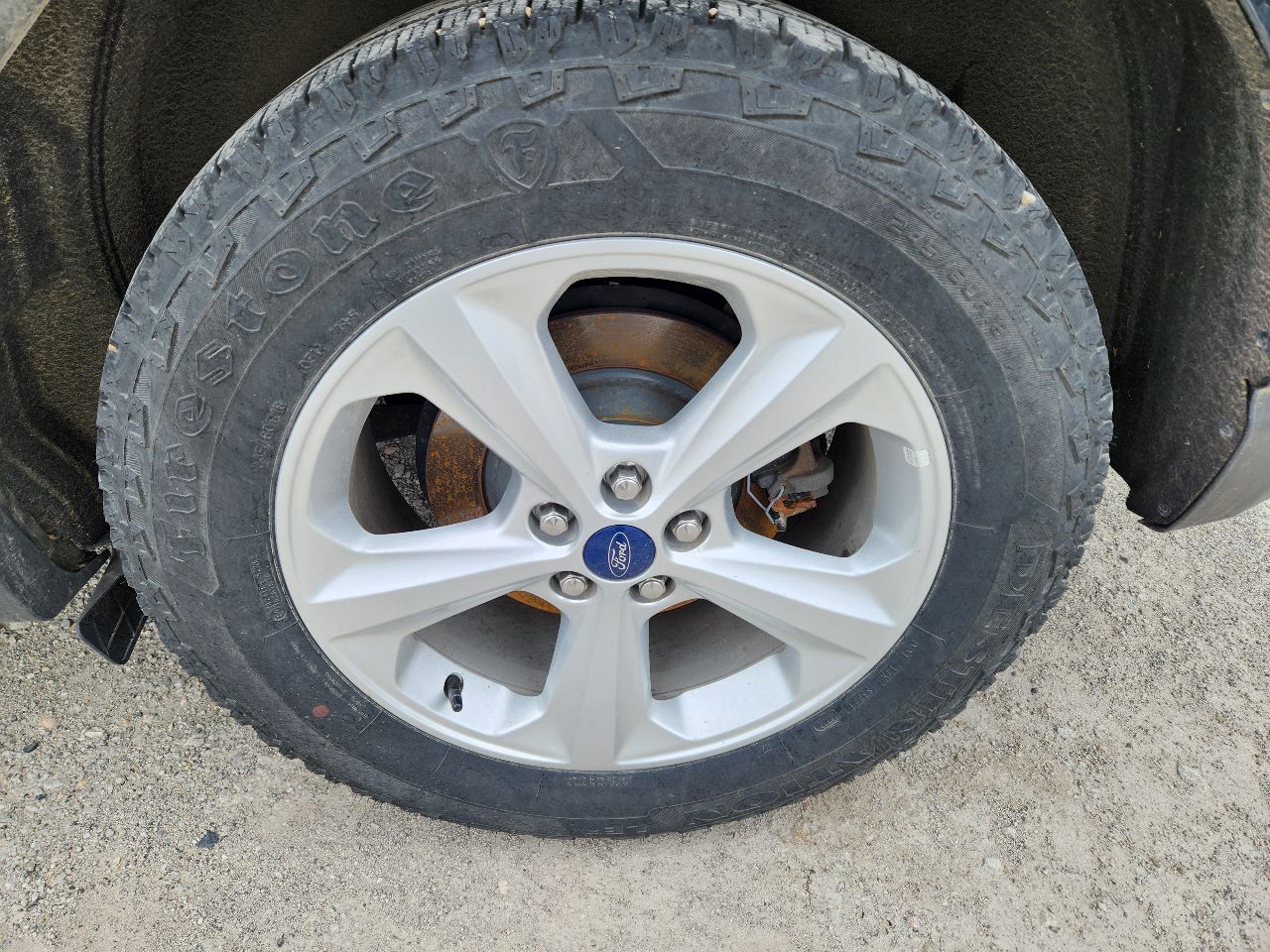 Vehicle/246447_06.jpg