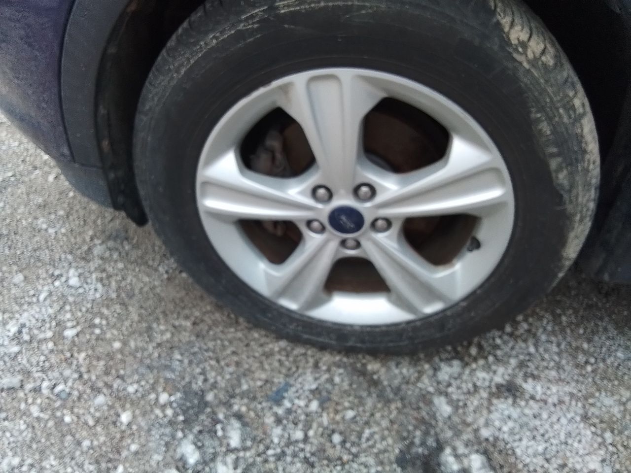 https://f005.backblazeb2.com/file/img-partshotlines-com/Inventory/EX441/Vehicle/246787_14.jpg
