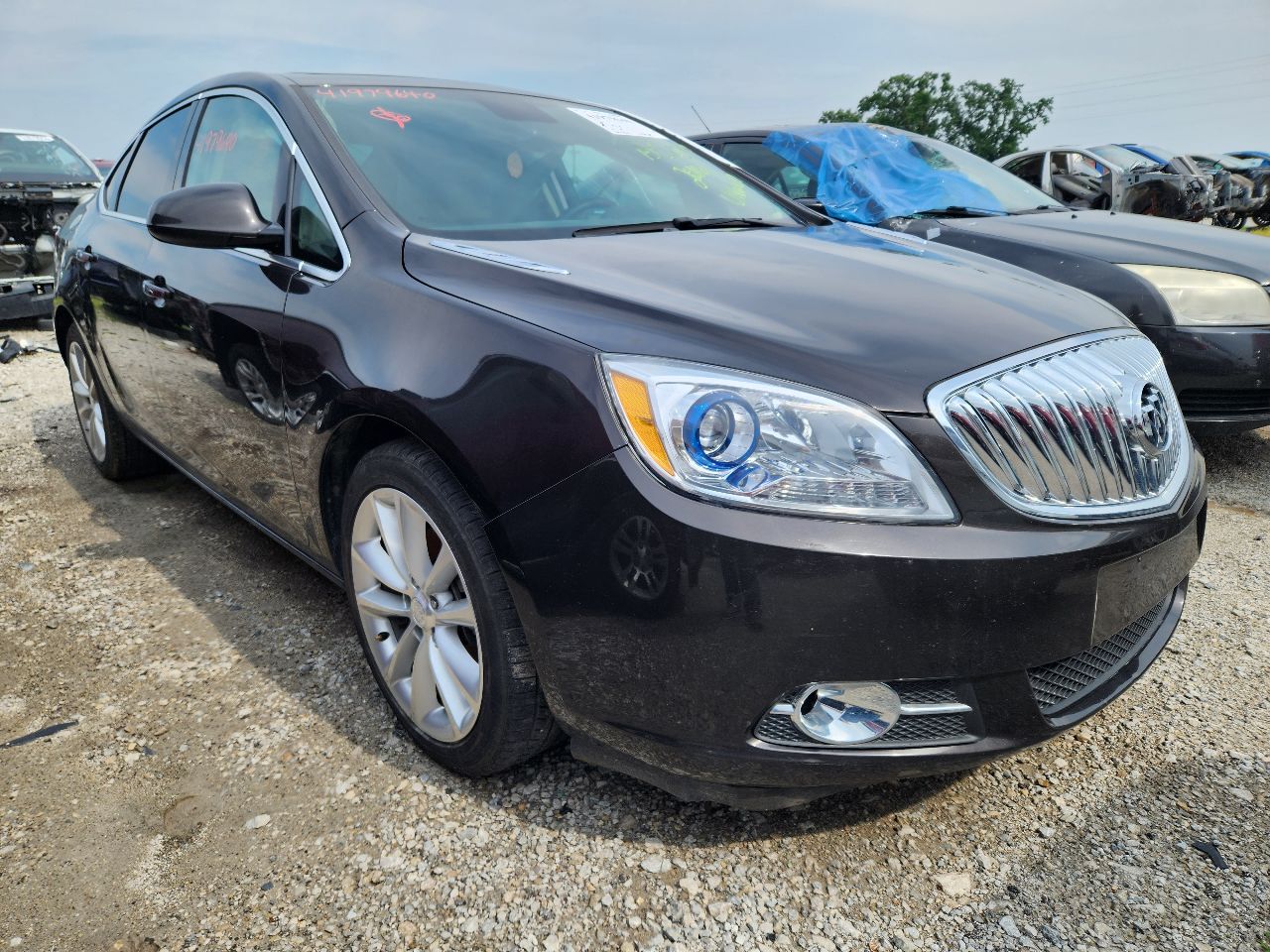 Vehicle/246954_04.jpg