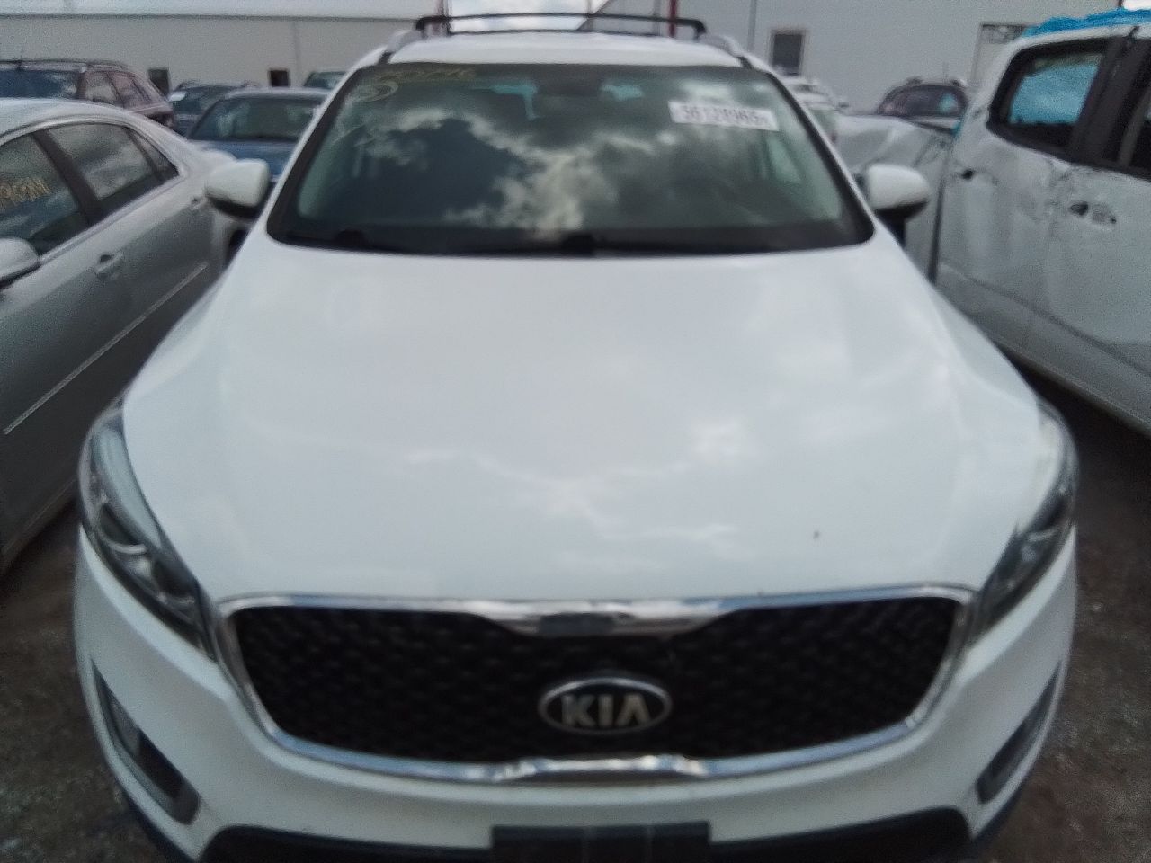 Vehicle/247041_07.jpg