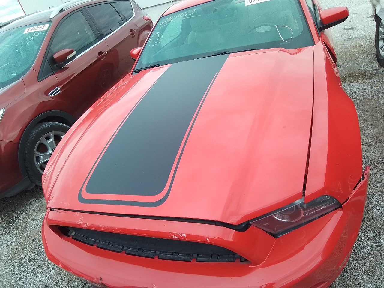 https://f005.backblazeb2.com/file/img-partshotlines-com/Inventory/EX441/Vehicle/247212_07.jpg