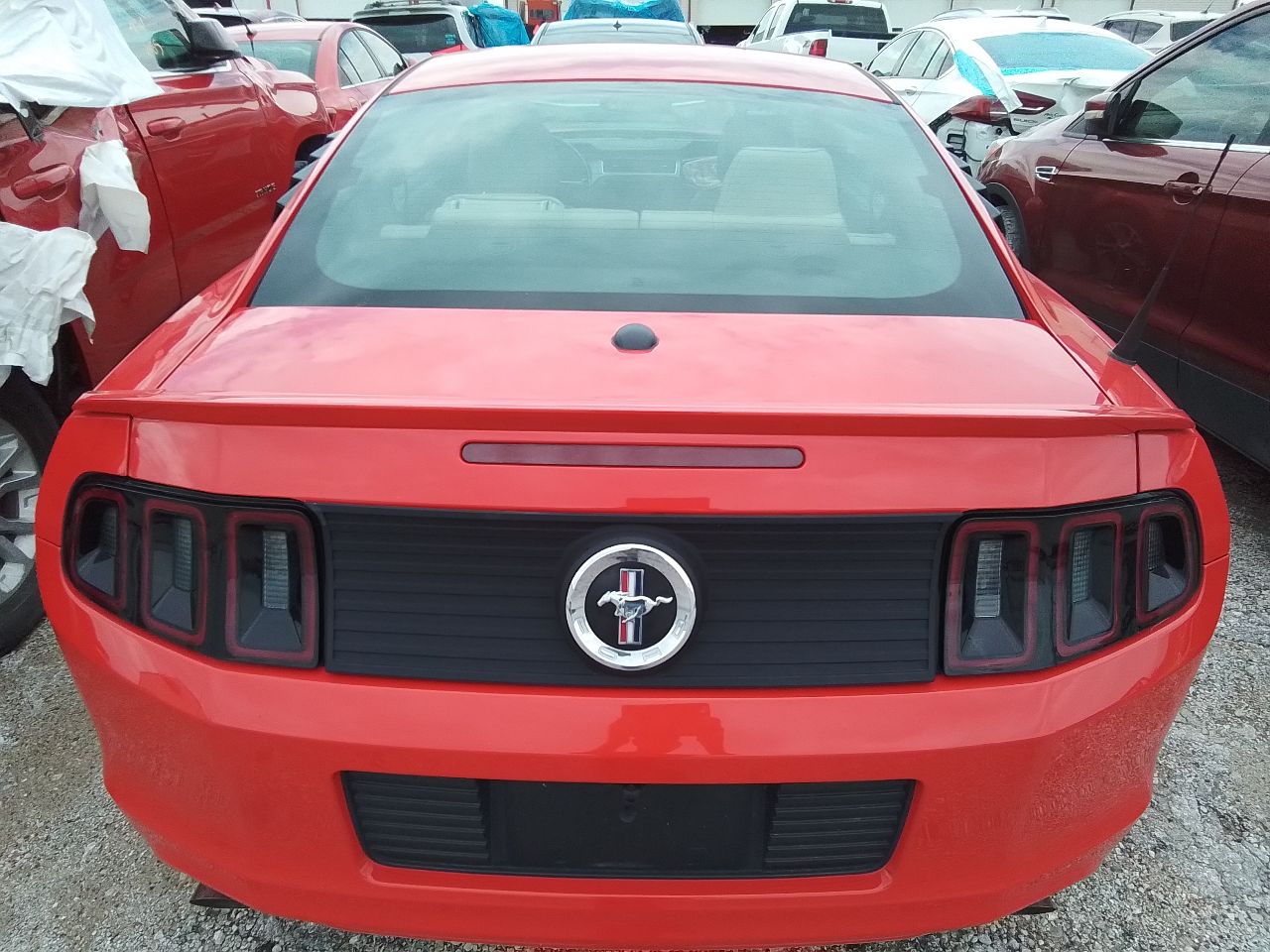 https://f005.backblazeb2.com/file/img-partshotlines-com/Inventory/EX441/Vehicle/247212_09.jpg