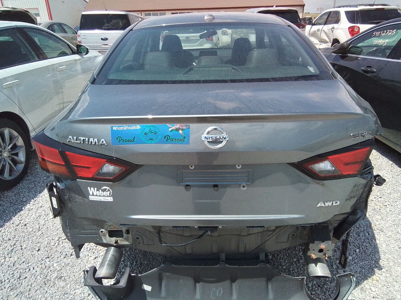 Vehicle/247341_10.jpg