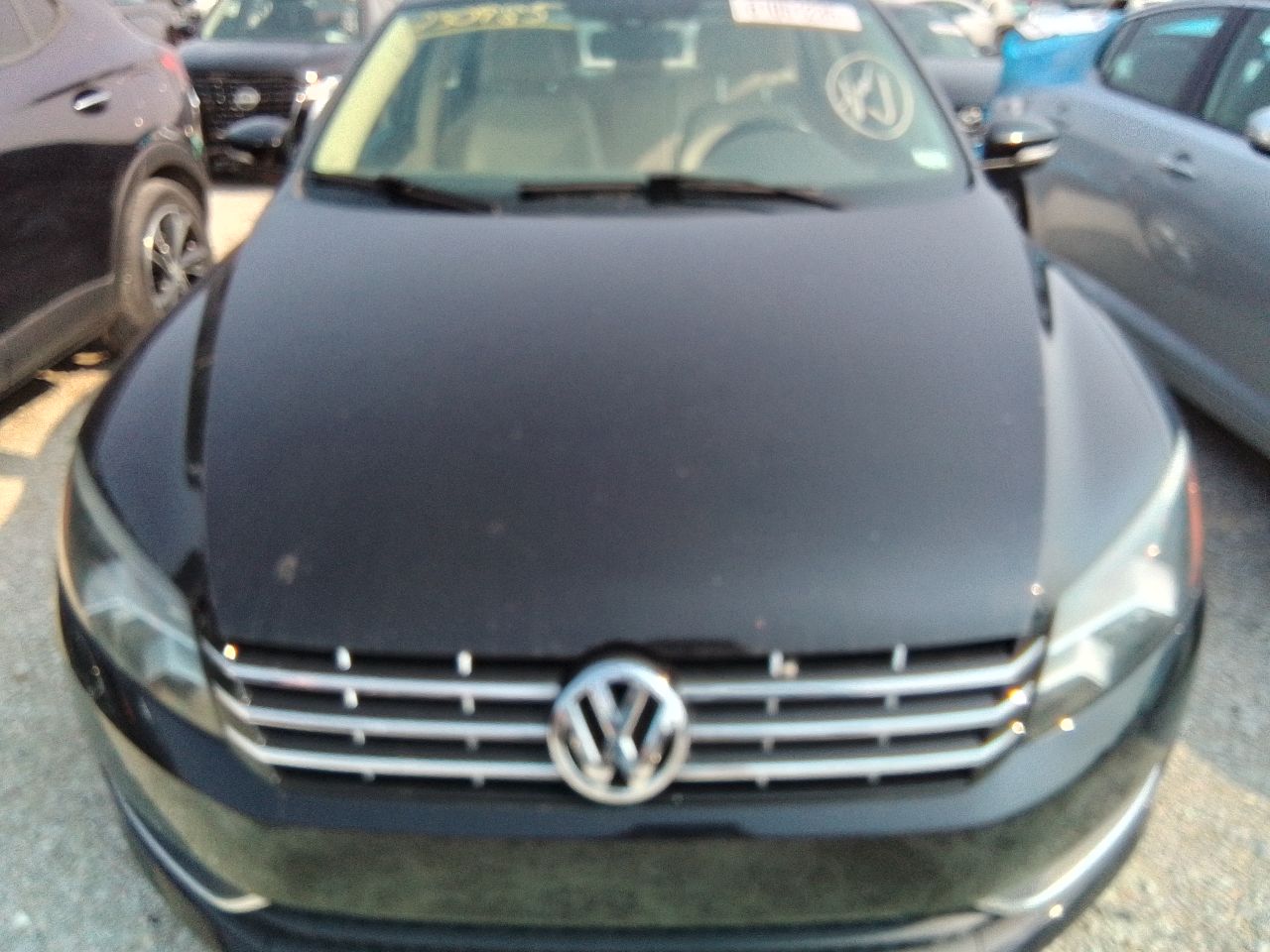Vehicle/247464_07.jpg