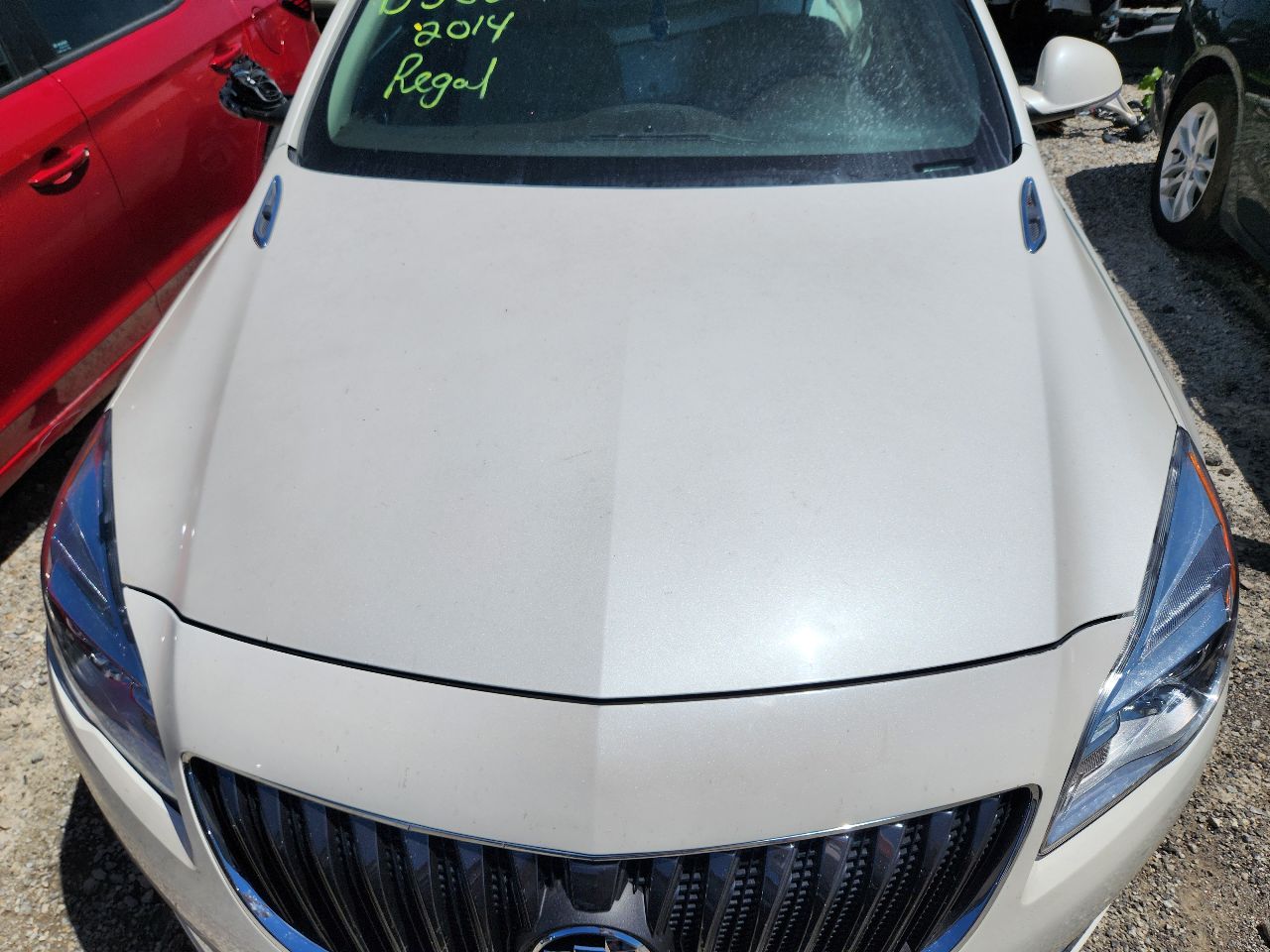 Vehicle/247484_13.jpg
