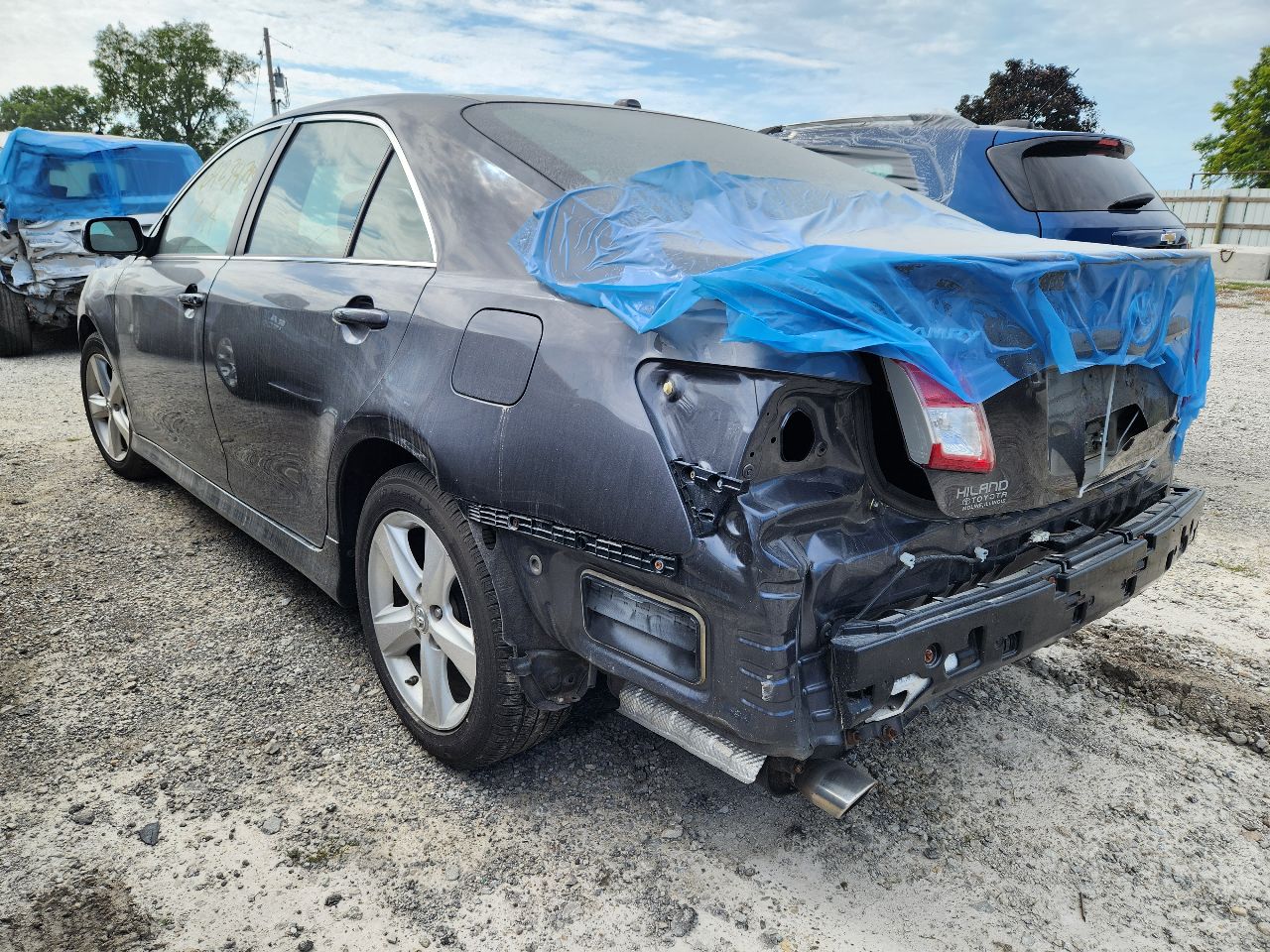 Vehicle/247667_03.jpg