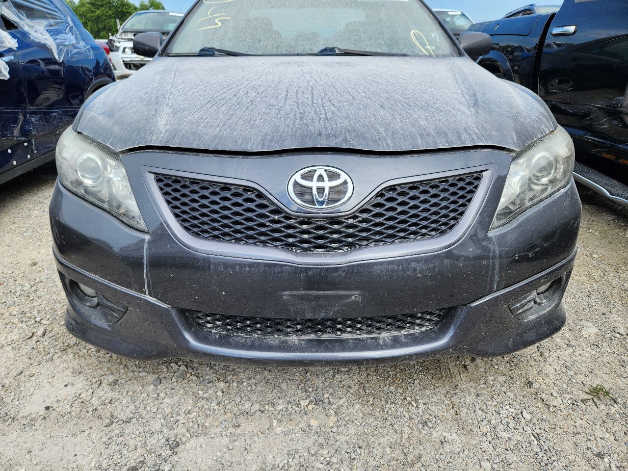 Vehicle/247667_09.jpg